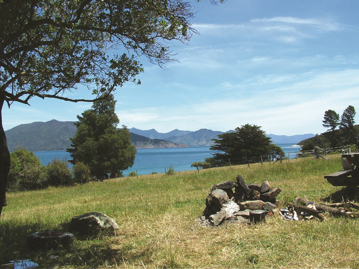 South Arm Camping Durville Island Marlborough Nz 0 Travel