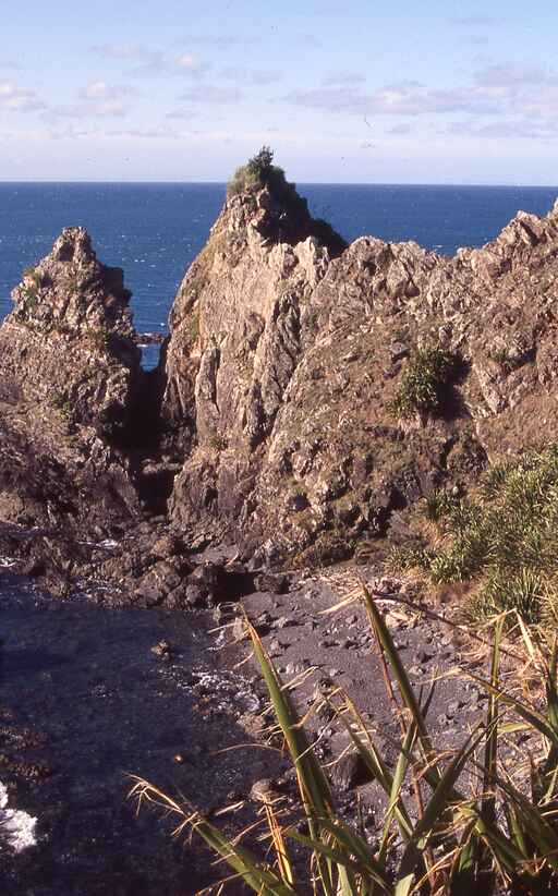 North Coast Track - Tawharanui Regional Park 