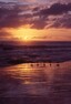 Piha sunset