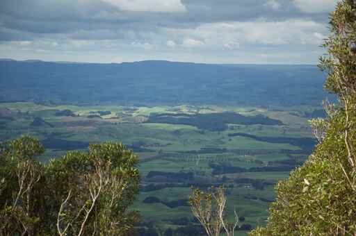 Maungatautari Peak - Maungatautari Ecological Island