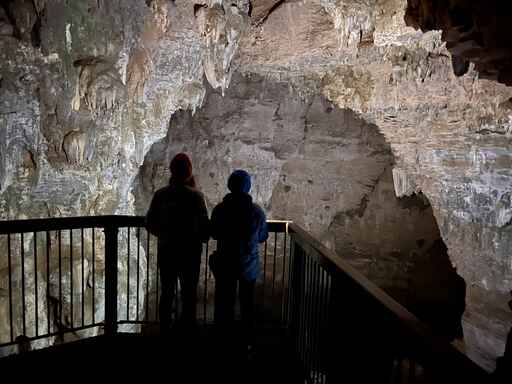 Ruakuri Walk - Waitomo