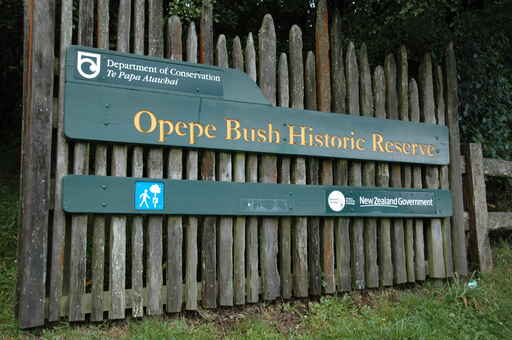 Historic Walk / Southern Walking Track - Opepe Bush Historic Reserve