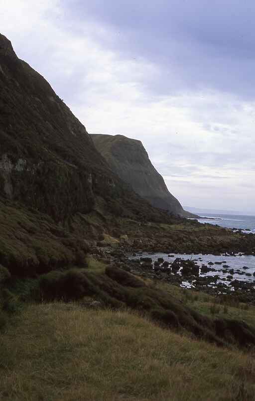 Waipapa Waterfall Track