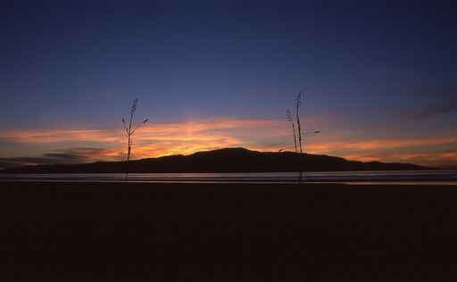 Tuteremoana via the Trig Track and Wilkinson Track - Kapiti Island 