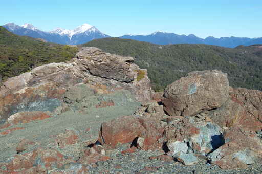 Dun Mountain Trail