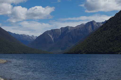 Loop Track - Lake Rotoiti - Nelson Lakes National Park