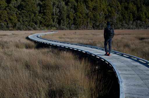 Okarito Wetland Walk 