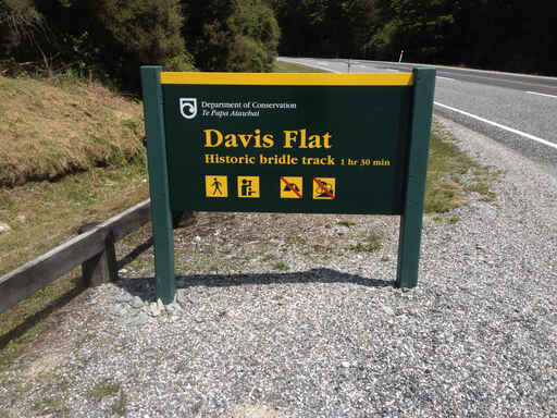 Davis Flat Historic Bridle Track - Haast Pass/Tioripatea