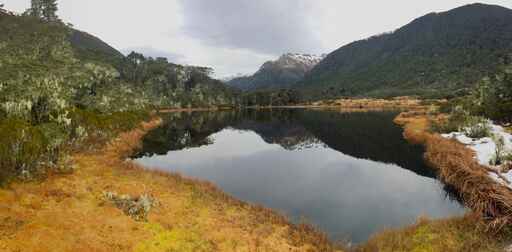 Alpine Nature Walk - Lewis Pass