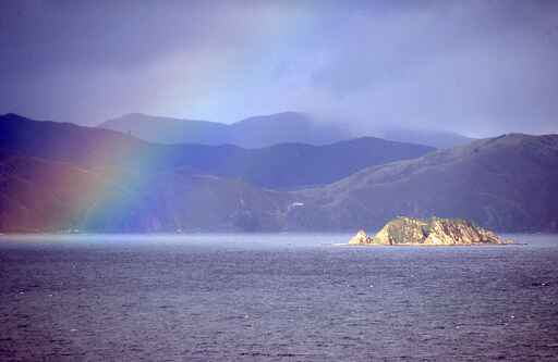 Matiu/Somes Island - Wellington Harbour