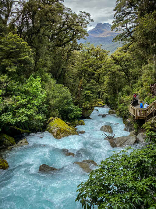 Lake Marian Falls Track - Hollyford Road