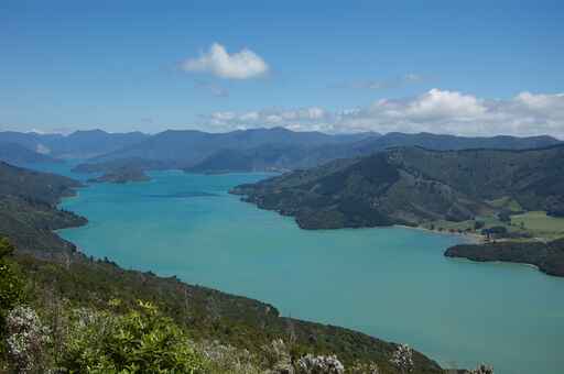 Camp Bay to Torea Saddle - Queen Charlotte Track 