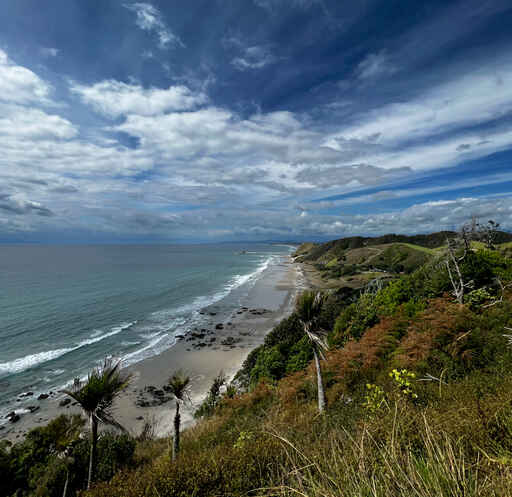 Mangawhai Cliffs Walkway