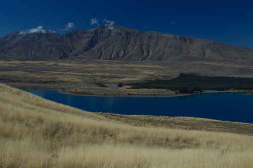 Mount John via Lakeshore - Lake Tekapo Walkway 