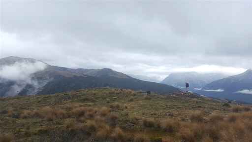 Lagoon Saddle tramping track - Cass - Arthurs Pass