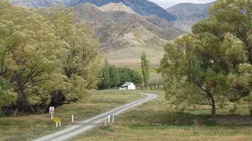 Molesworth Cob Cottage Campsite - Camping, Molesworth Station