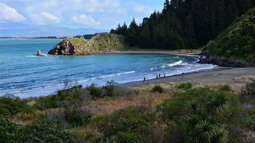 Whites Bay Campsite - Blenheim area