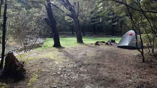 Mistletoe Flats Campsite