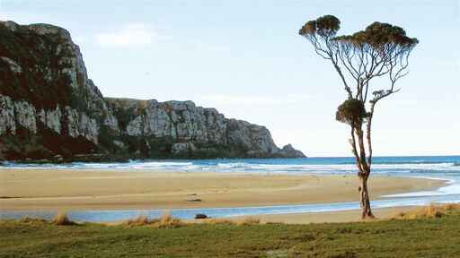 Purakaunui Bay Campsite - Catlins Coast