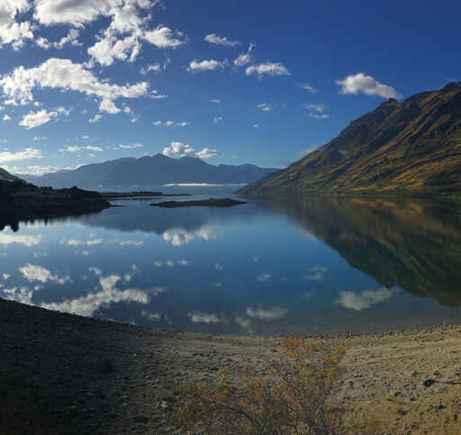 Kidds Bush Reserve Campsite - Lake Hawea