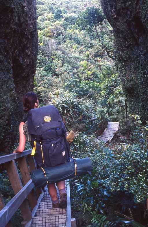 Windy Canyon and Palmer's Track to Mount Hobson / Hirakimata