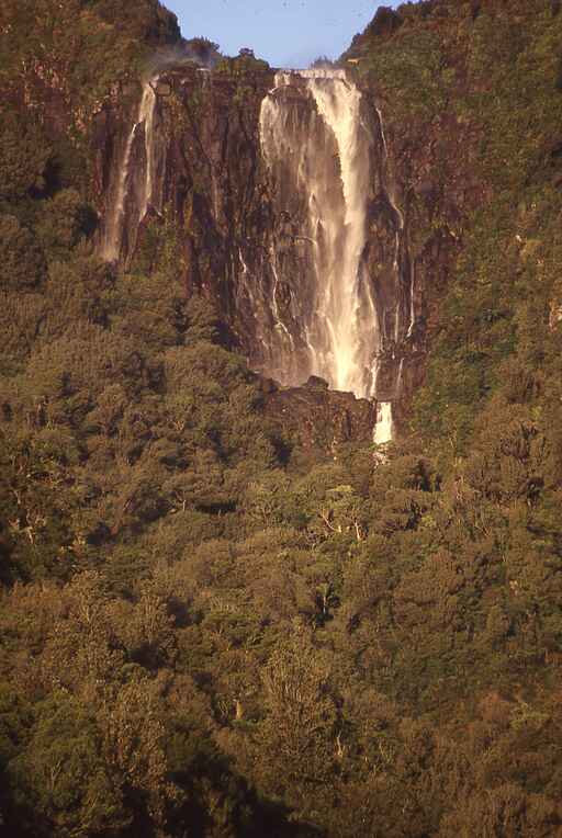 Wairere Falls Track 