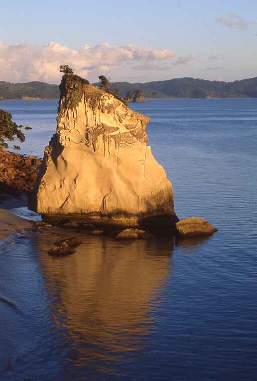 Cathedral Cove Walk