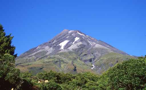 Nature Walk - North Egmont , Egmont National Park