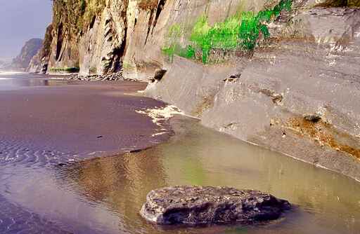 Whitecliffs Walkway 