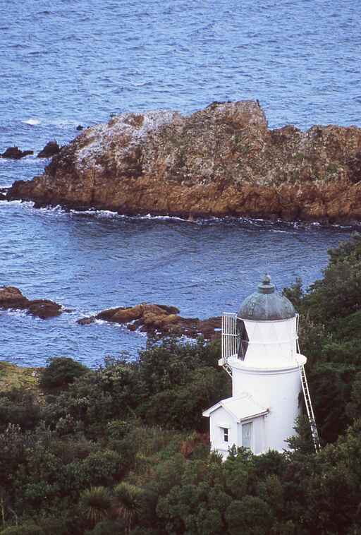 Matiu/Somes Island Loop Track