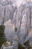 Putangirua Pinnacles are hoodoos