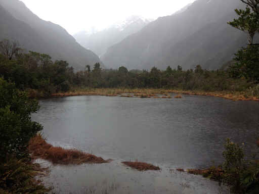 Peters Pool - Westland Tai Poutini National Park