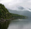 Lake Rotoiti shoreline near the Bellbird Walk entrance