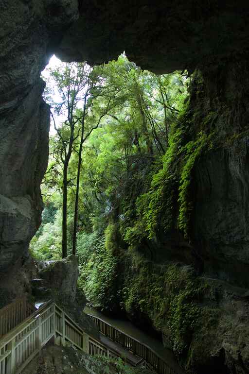 Mangapohue Natural Bridge Walk - Waitomo 