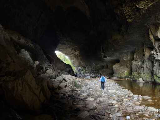 Oparara Arch Walk - Oparara Basin