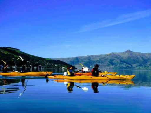 Akaroa Guided Sea Kayak Safari