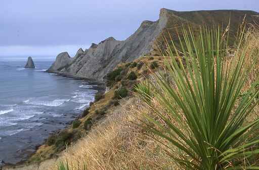 Cape Kidnappers Walking Track