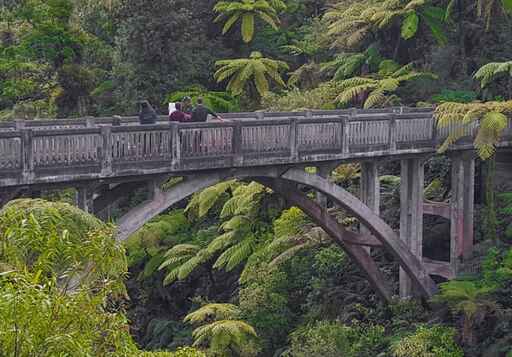 Whanganui River Adventures