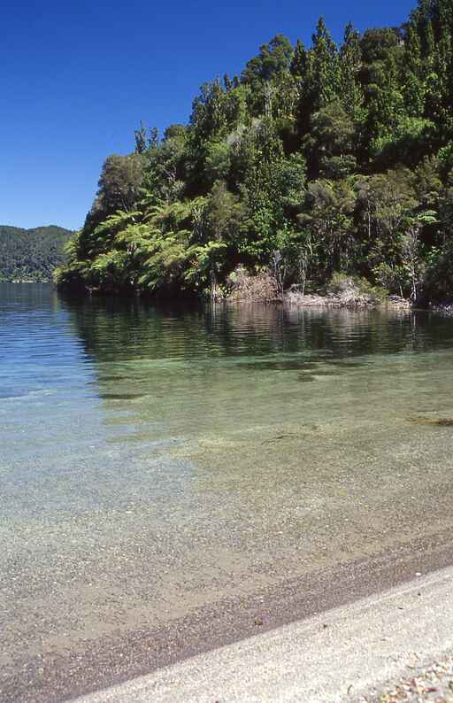 Eastern Okataina Walkway - Lake Okataina Carpark (Tauranganui Bay) to Humphries Bay (Lake Tarawera) 