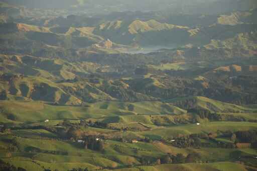 Tirohanga Track to Ruapane Lookout - Pirongia Forest Park