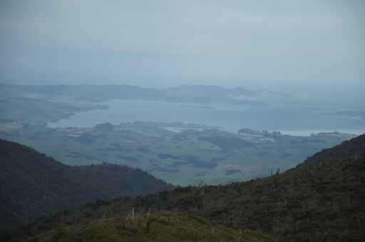 Pirongia Summit via Tirohanga Track - Pirongia Forest Park