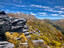 Alpine gardens extend from the treeline to Mt Arthur's peak.