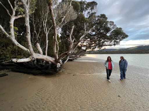 Papatowai Campsite - Catlins coastal area