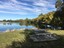 Wildlife reserve full of birds on the side of the Pukaki canal