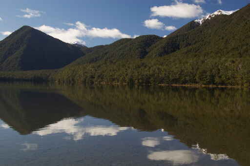 Lake Daniell Track