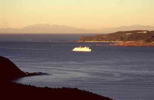 Pencarrow Coastal Trail - East Harbour Regional Park