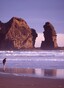 Lion Rock, Piha