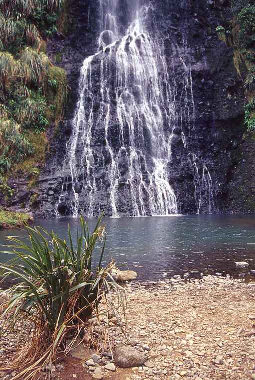 Taraire Track - Karekare Falls