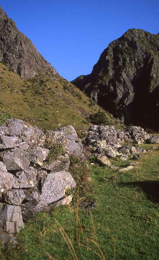 Turakirae Head and Seal Colony