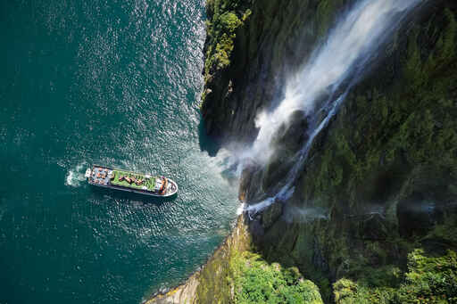 Go Orange - Milford Sound